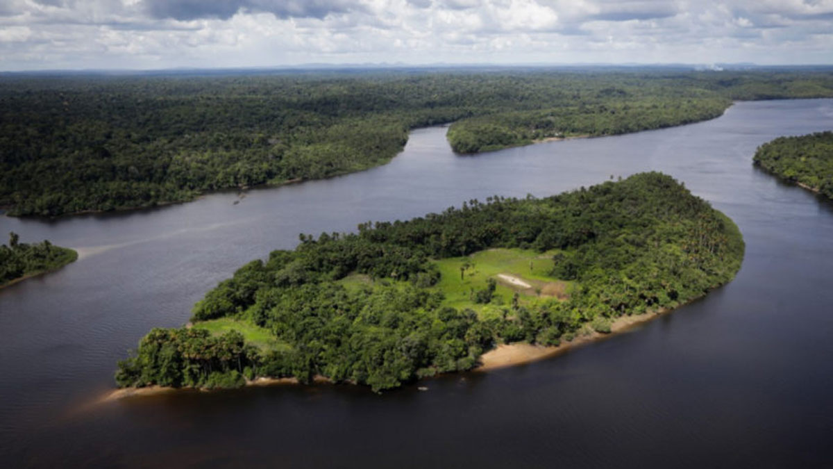 Miserável Amazônia